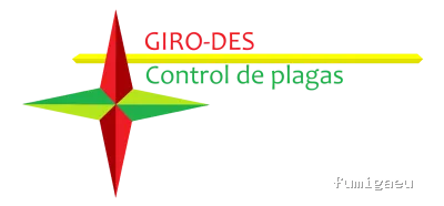 Giro-des