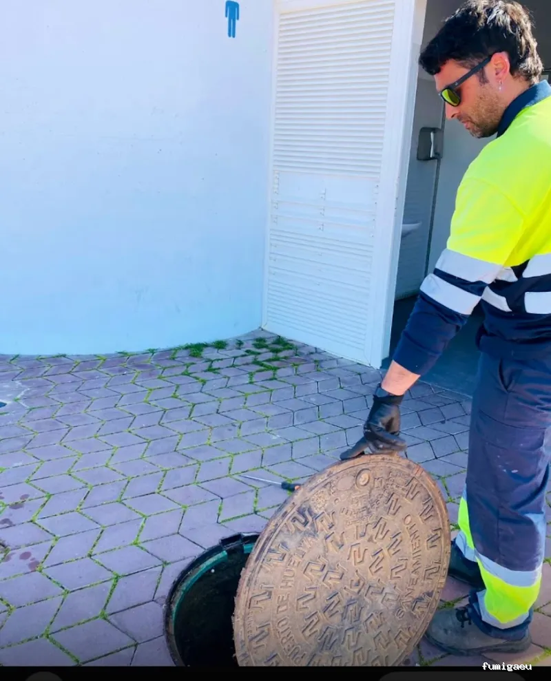 Control de Plagas Huelva Tres D