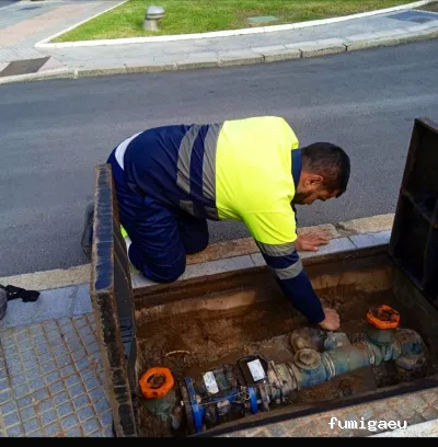 Control de Plagas Huelva Tres D