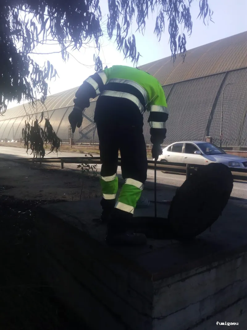 Control de Plagas Huelva Tres D