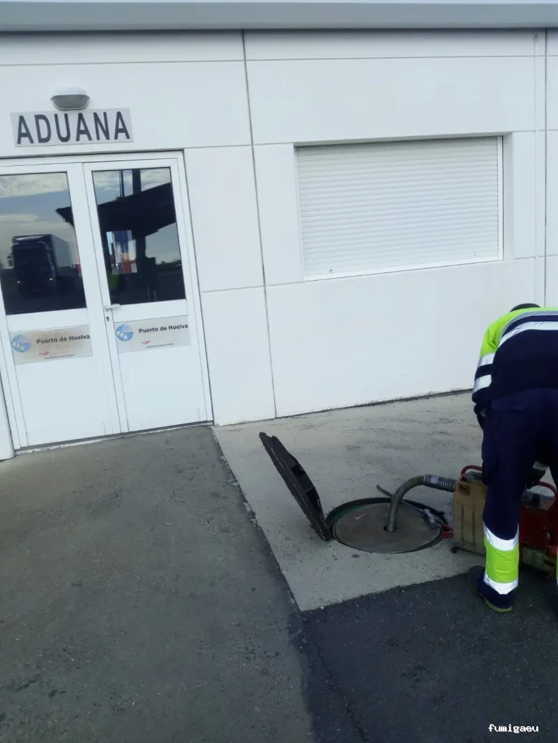 Control de Plagas Huelva Tres D