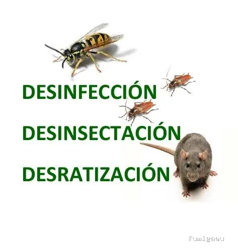 Control de Plagas Huelva Tres D