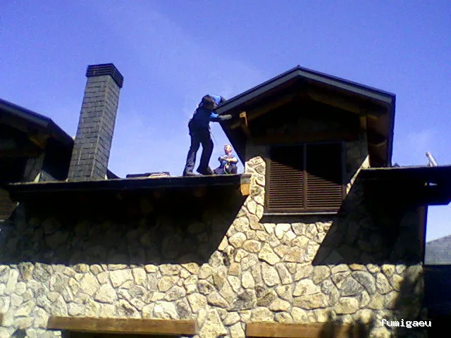 Trandex Control de Plagas Alcorcón