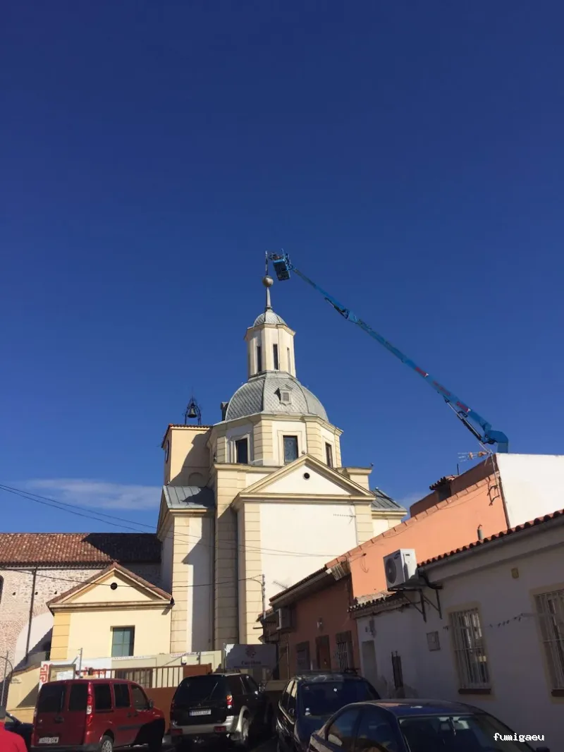 Trandex Control de Plagas Alcorcón