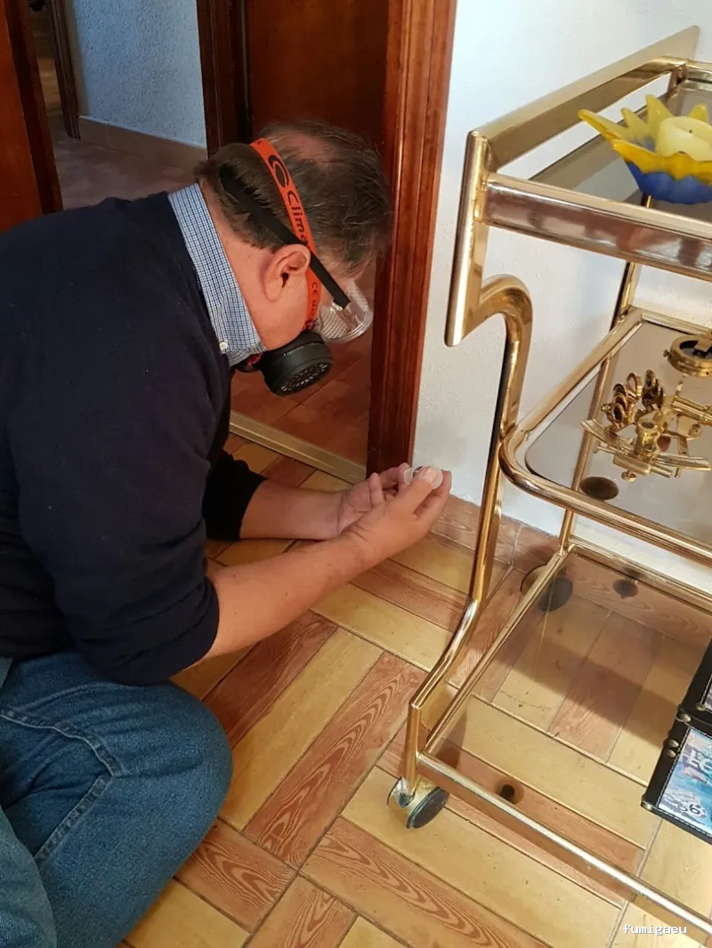 Trandex Control de Plagas Alcorcón