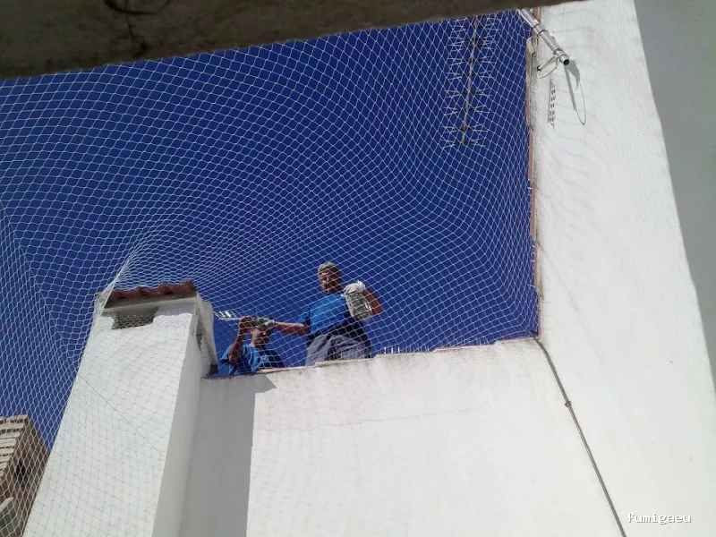 Trandex Control de Plagas Alcorcón