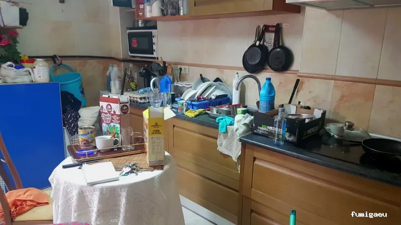 Limpiezas Hogar and Co