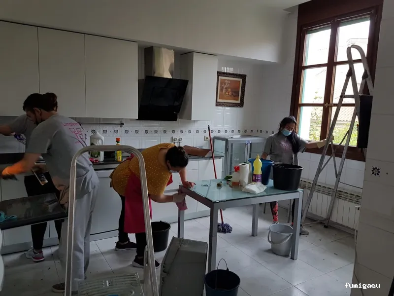 Limpiezas Hogar and Co