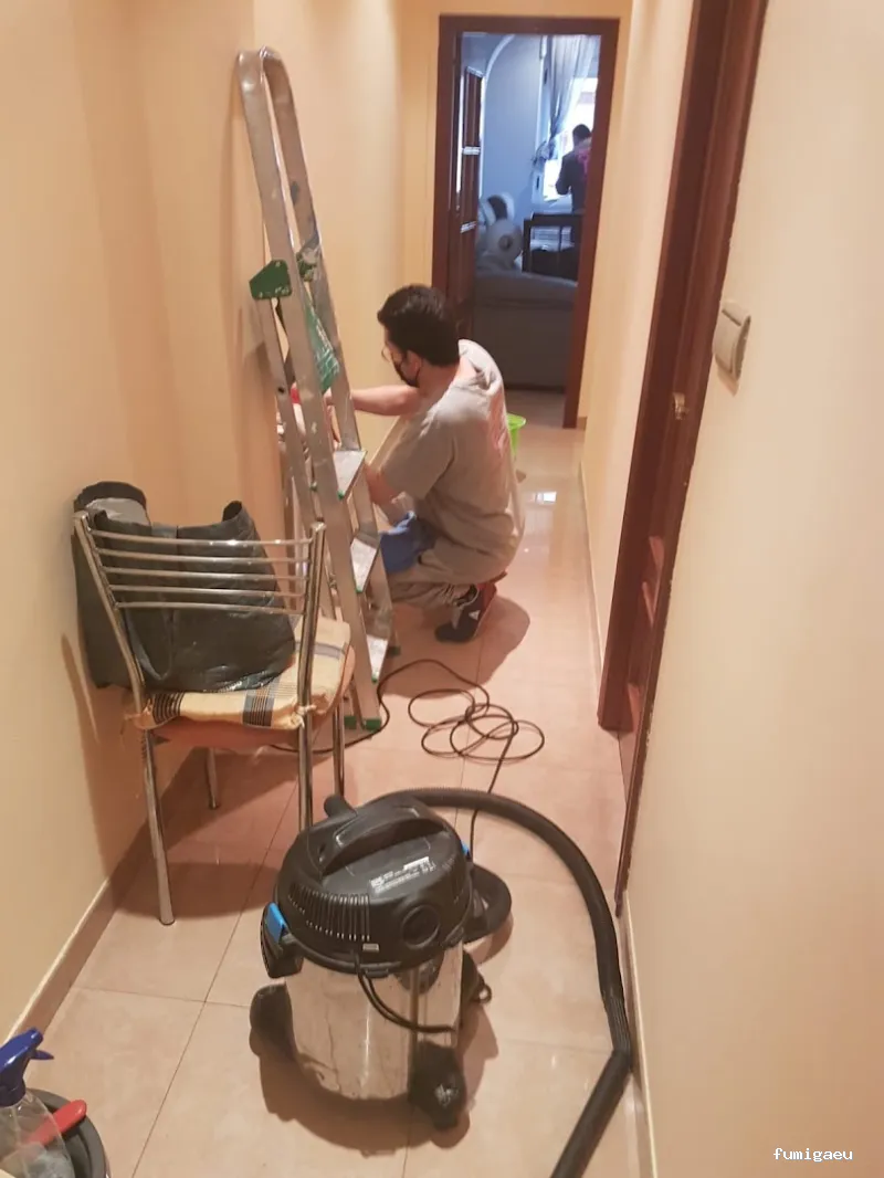 Limpiezas Hogar and Co