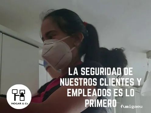 Limpiezas Hogar and Co