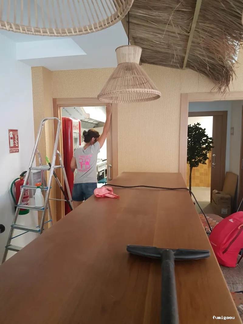 Limpiezas Hogar and Co