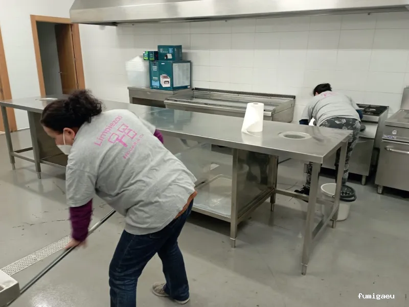 Limpiezas Hogar and Co