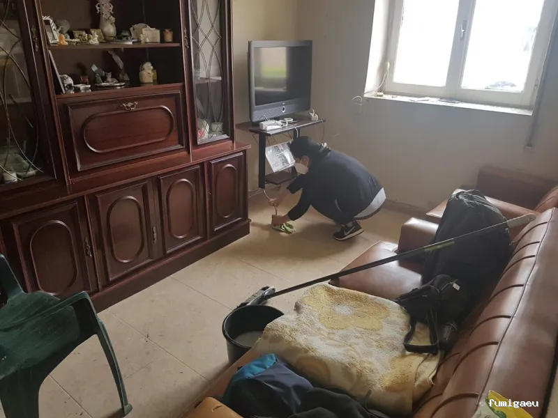 Limpiezas Hogar and Co