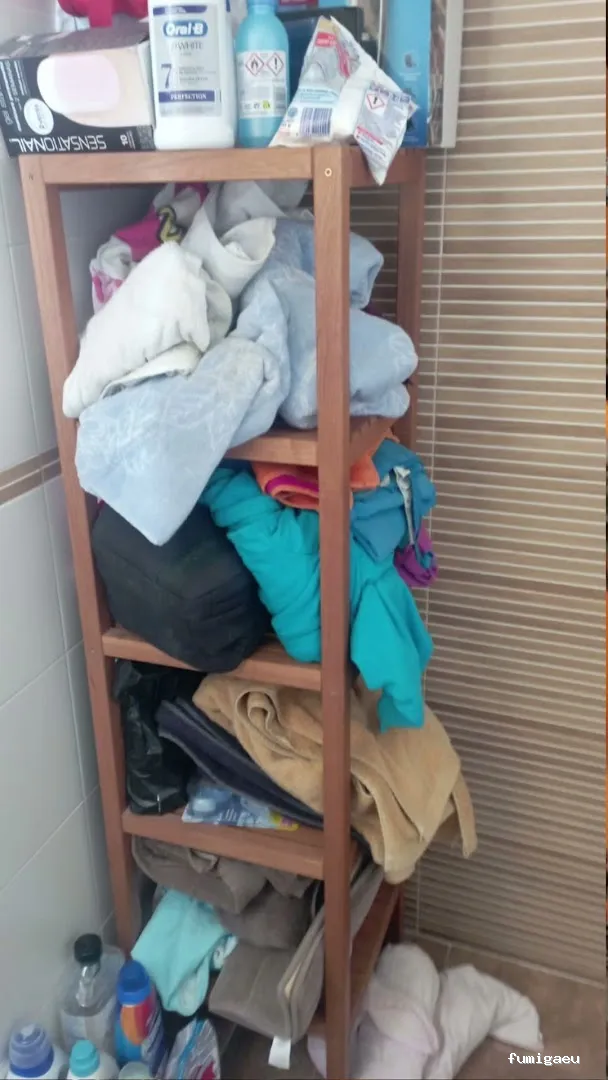 Limpiezas Hogar and Co