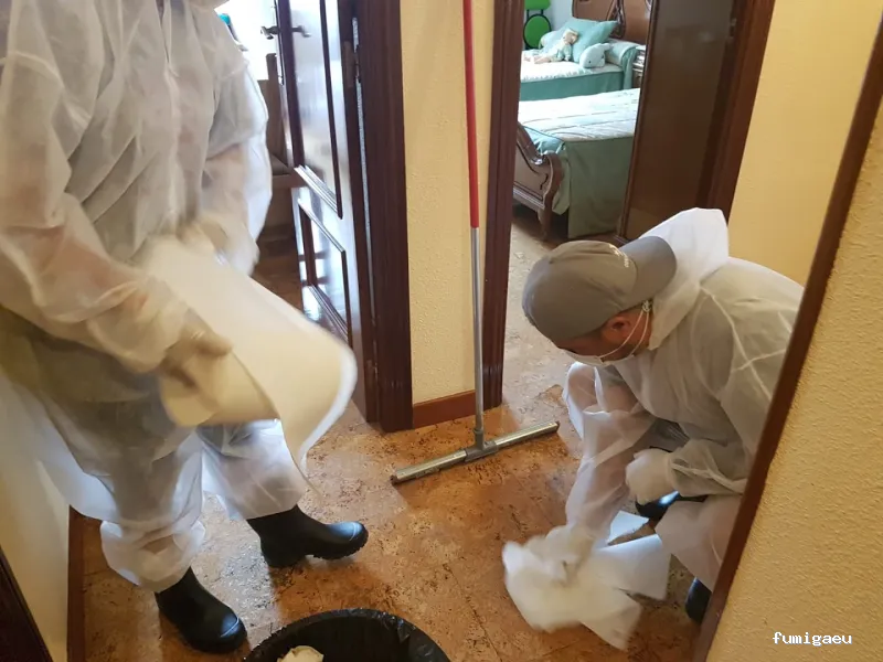 Limpiezas Hogar and Co