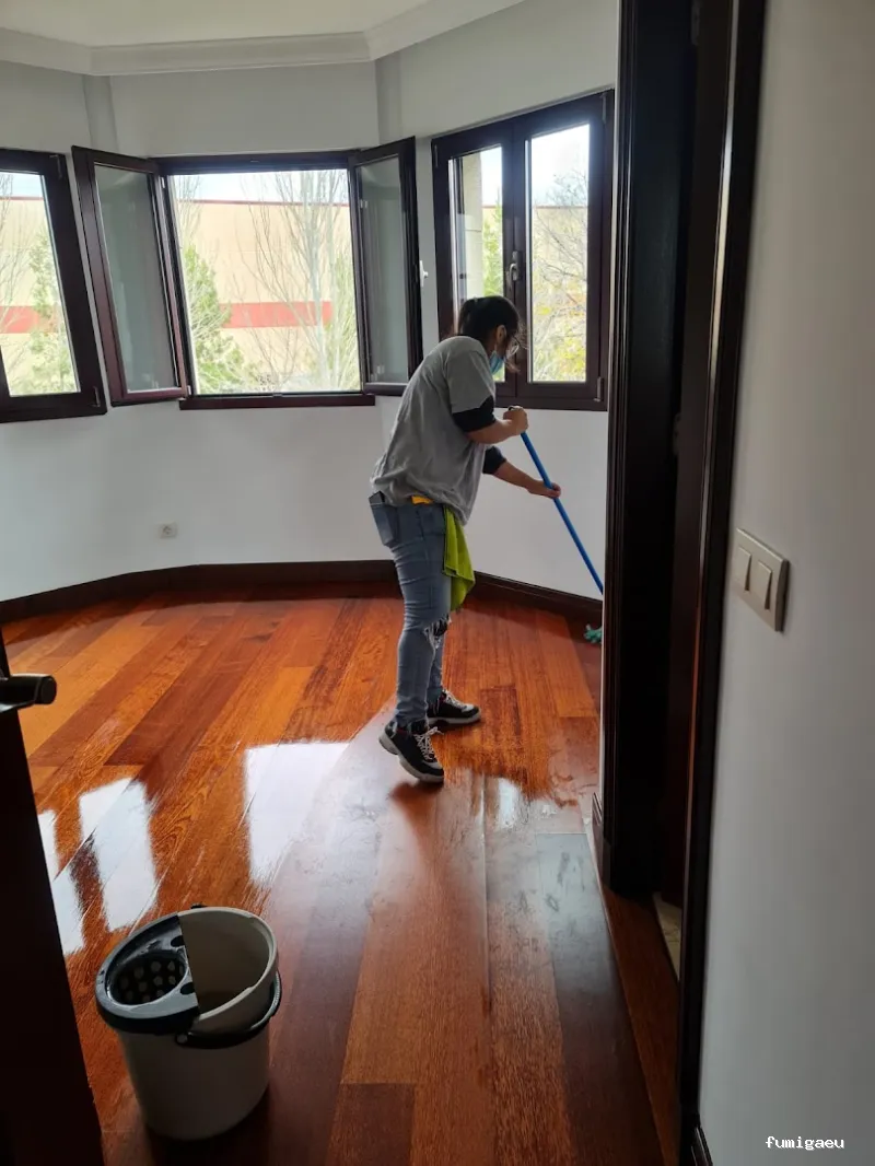 Limpiezas Hogar and Co