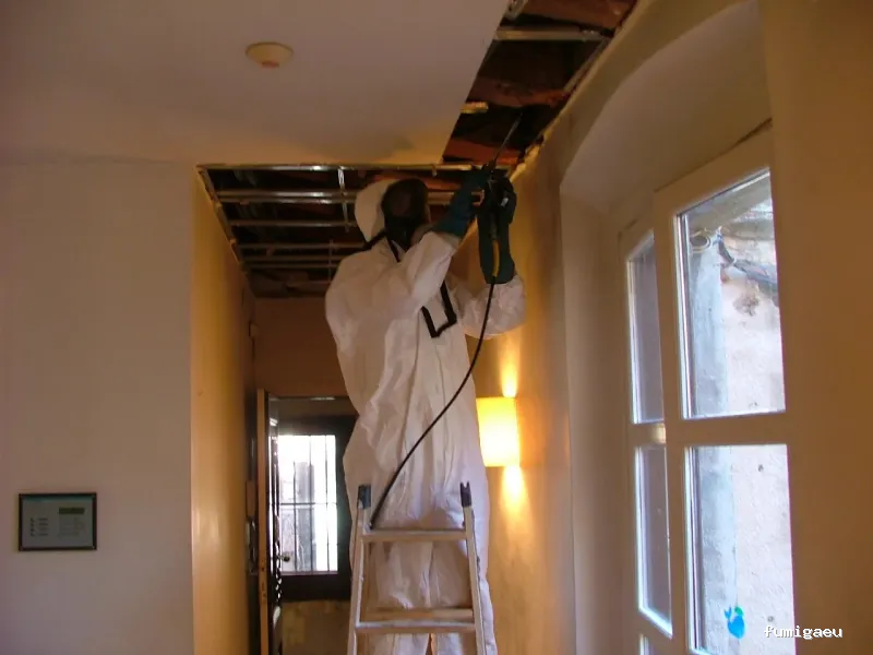 Diset Control de Plagas Muntaner | Control de legionella