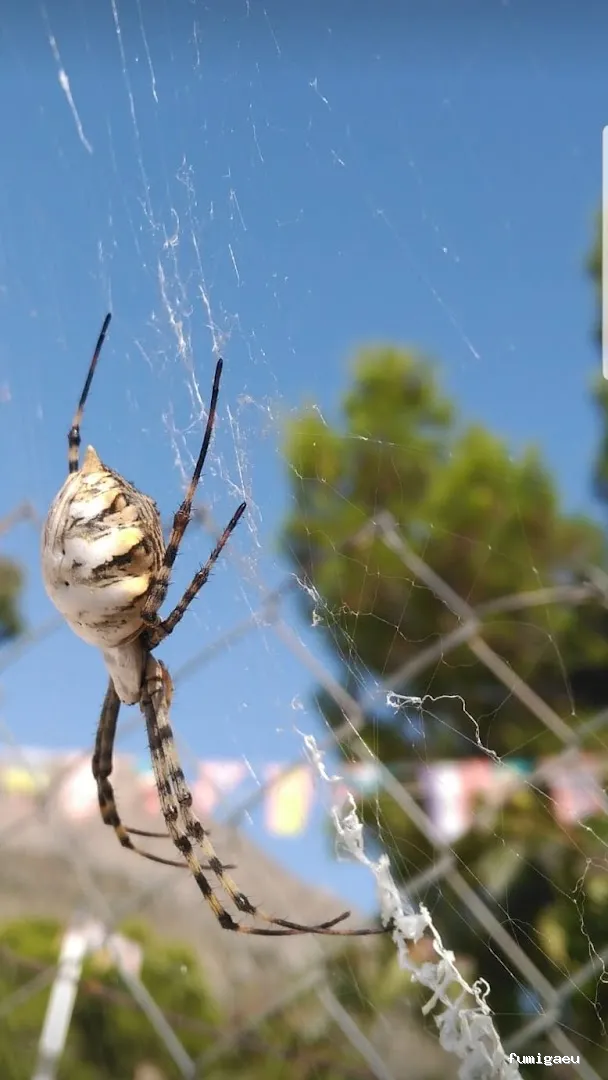 Desinfecciones Hernández