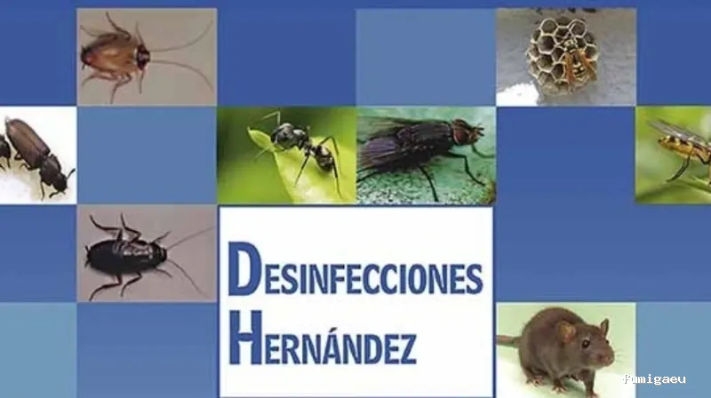 Desinfecciones Hernández