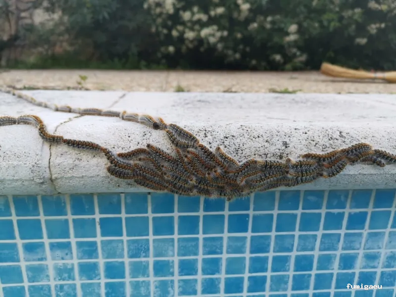 Alemany Fitosanitarios