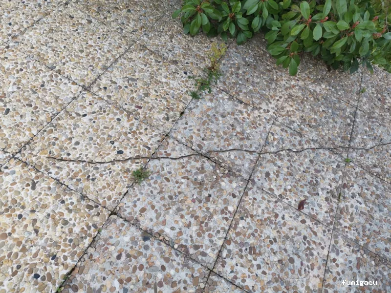 Alemany Fitosanitarios