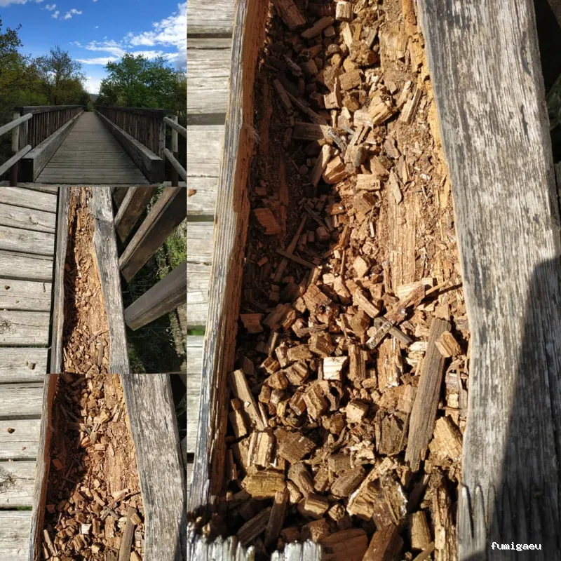 PVCAT Plagues i Legionella