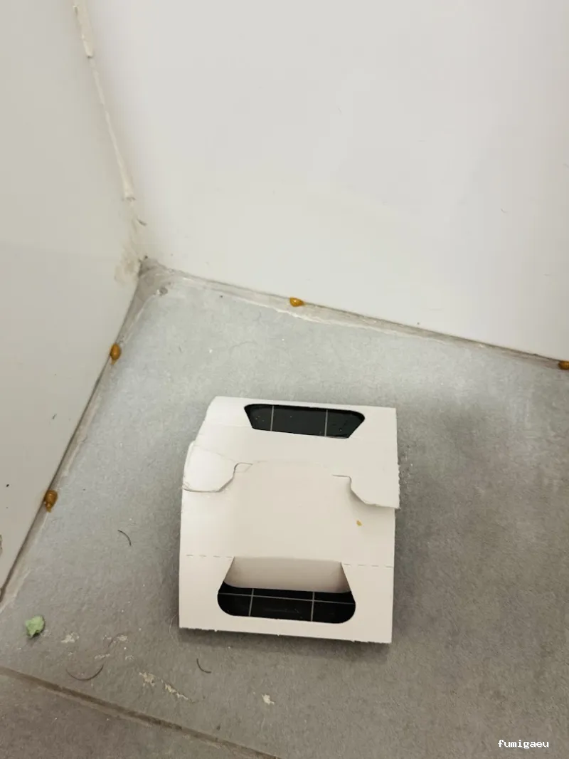 Control de Plagas en Valencia – ¡Fumigación Urgente 24h!