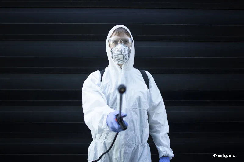 Control de Plagas en Valencia – ¡Fumigación Urgente 24h!