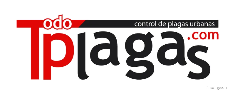 Control de Plagas en Valencia – ¡Fumigación Urgente 24h!