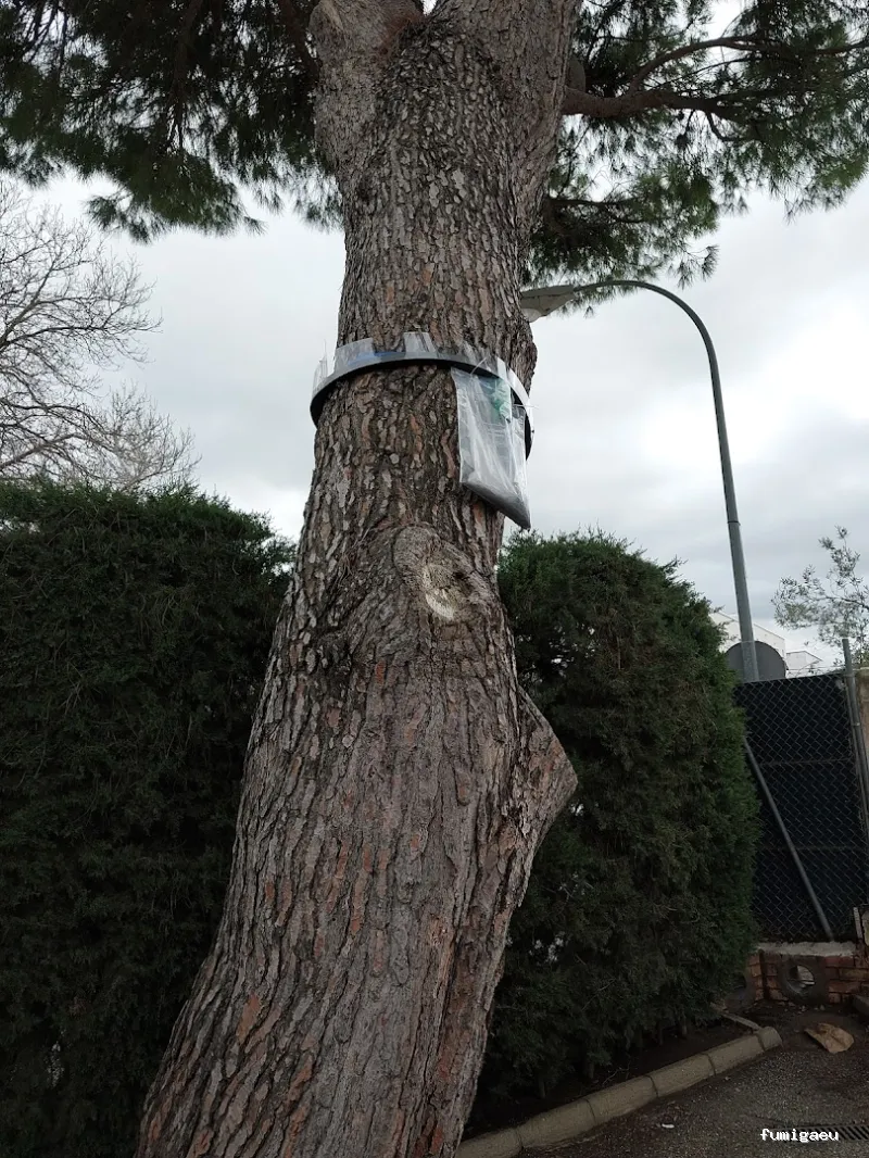 TC Control de Plagas