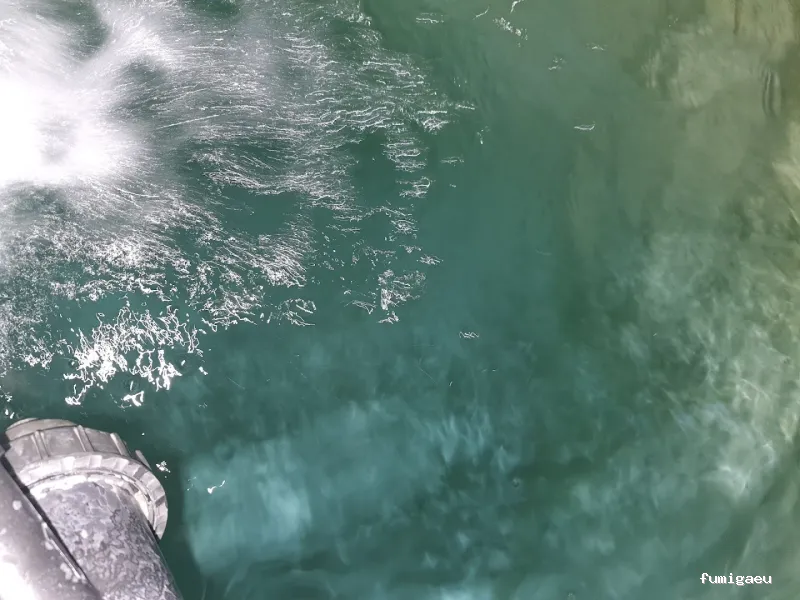 TC Control de Plagas