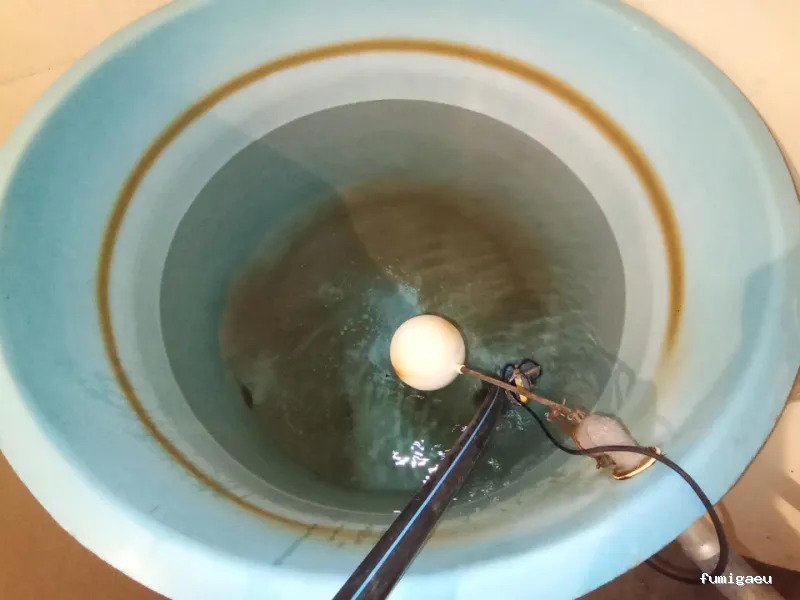 TC Control de Plagas