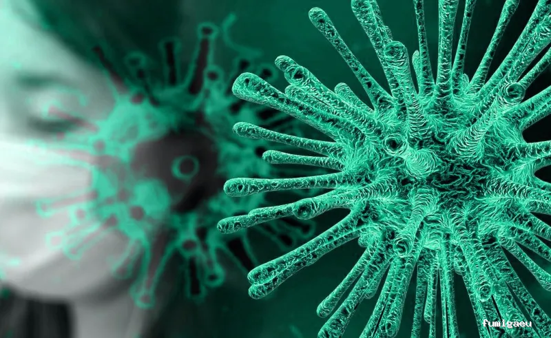 Pest Consulting | Control de Plagas