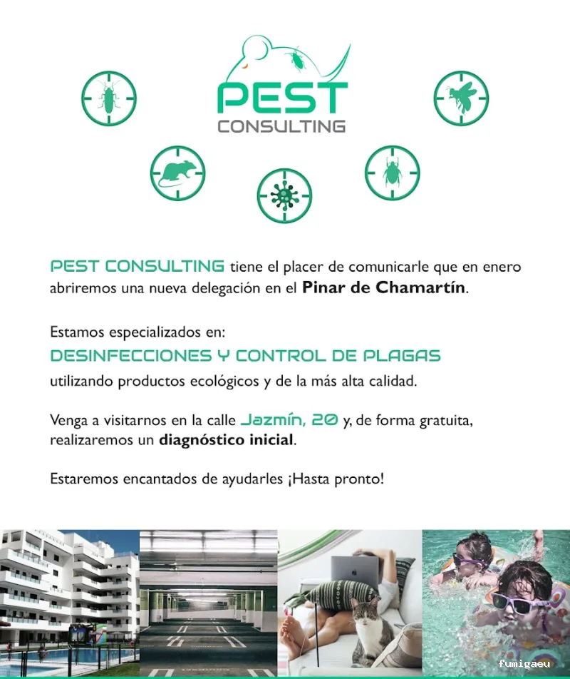 Pest Consulting | Control de Plagas