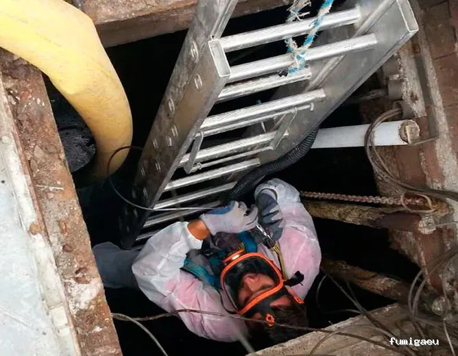 Mucho más que limpieza