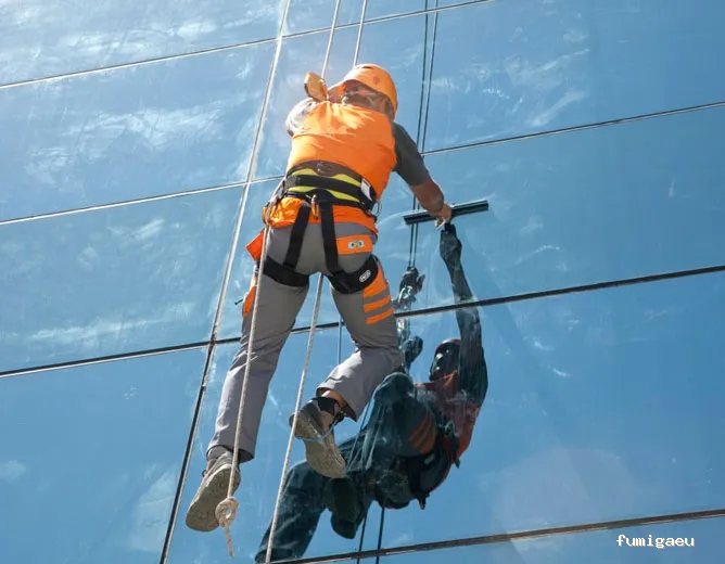 Mucho más que limpieza