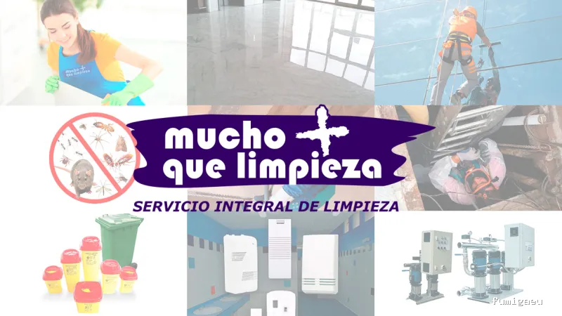 Mucho más que limpieza