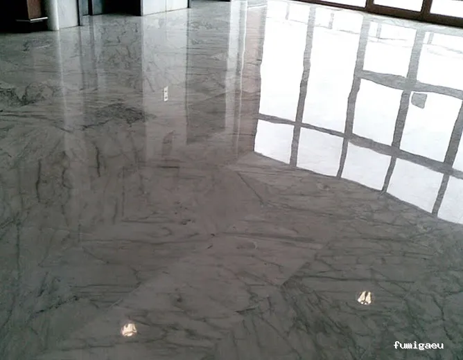 Mucho más que limpieza