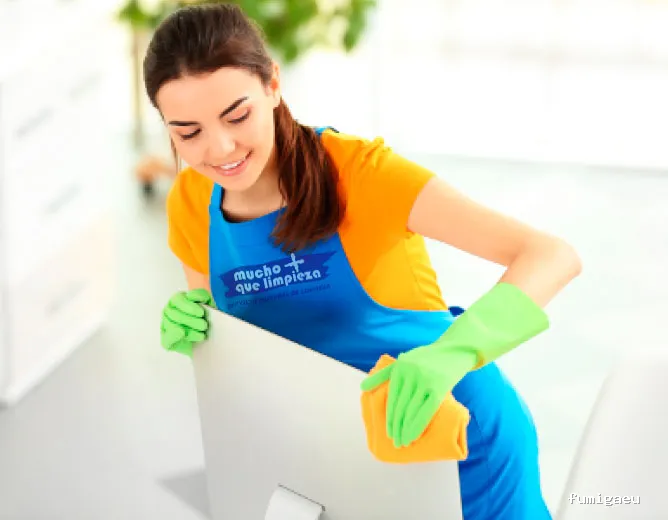 Mucho más que limpieza