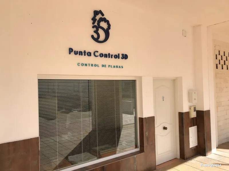 Punta Control 3D S.L.