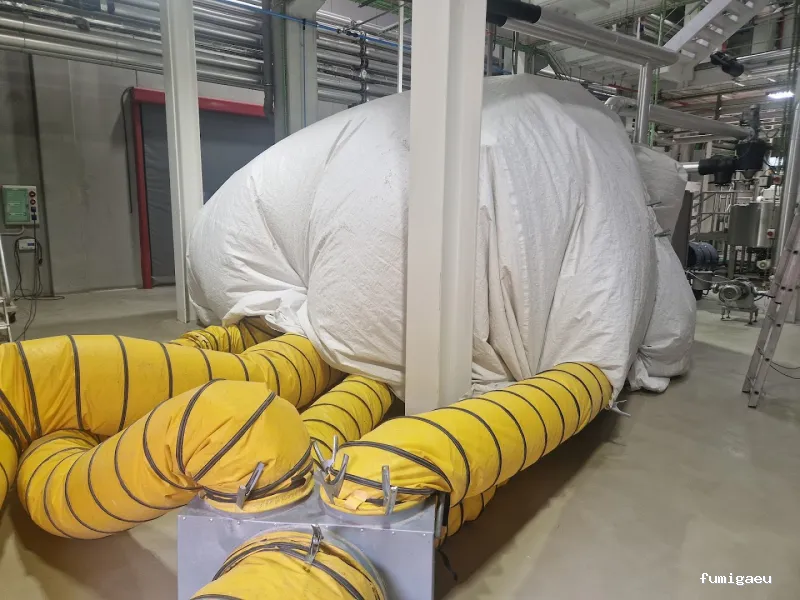 Ecomol - Control de Plagas y Termitas