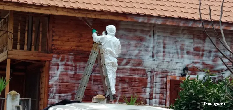 Ecomol - Control de Plagas y Termitas