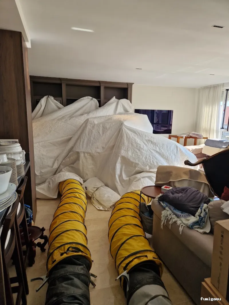 Ecomol - Control de Plagas y Termitas