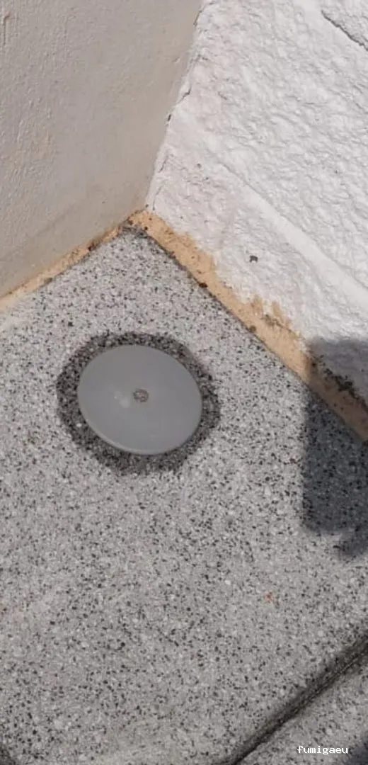 Ecomol - Control de Plagas y Termitas