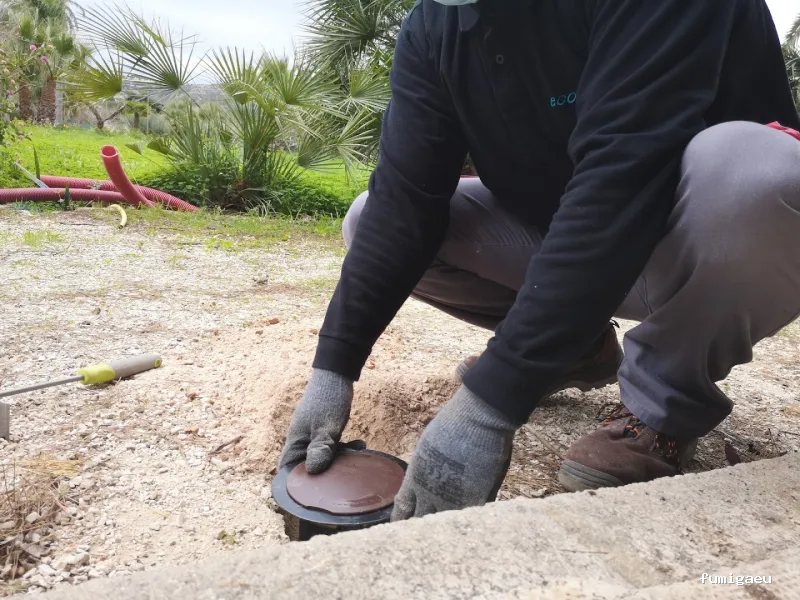 Ecomol - Control de Plagas y Termitas