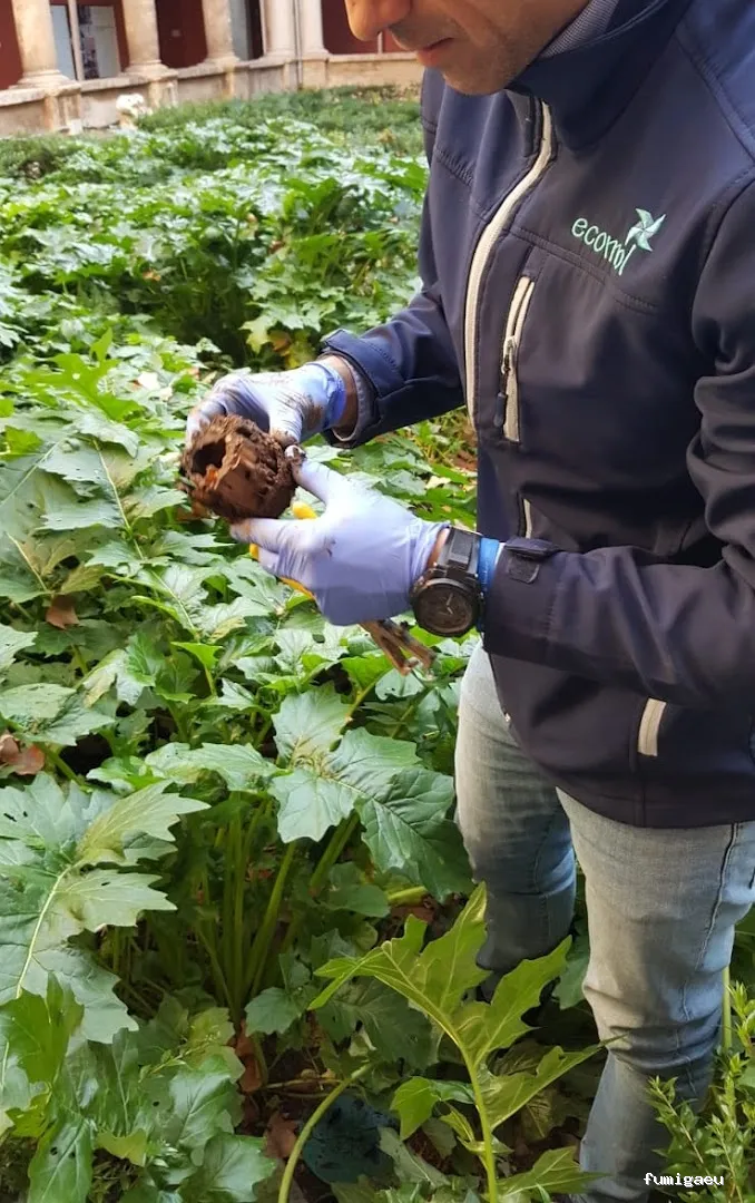 Ecomol - Control de Plagas y Termitas