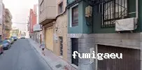 Fumigadora Santa Lucía