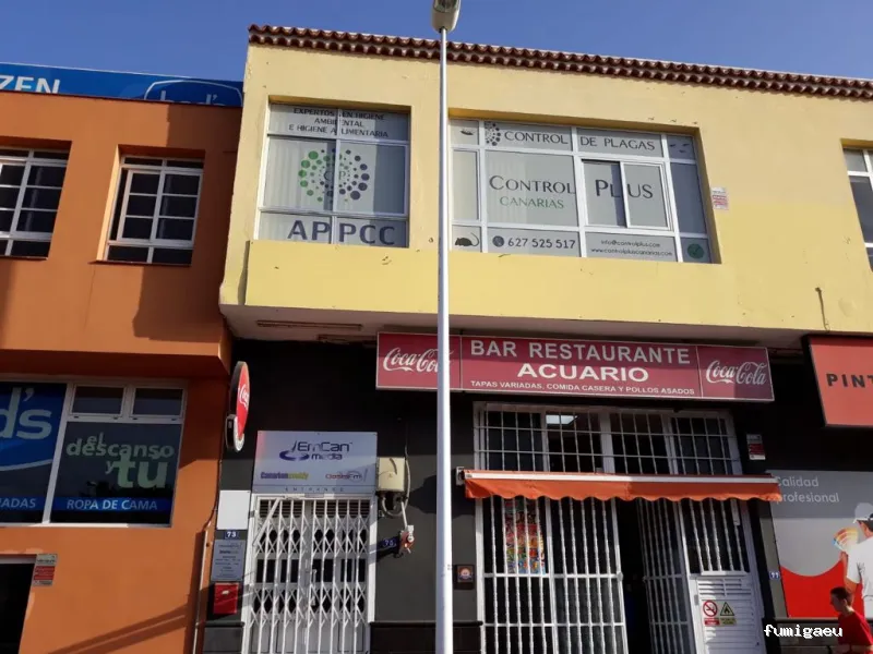 Control Plus Canarias