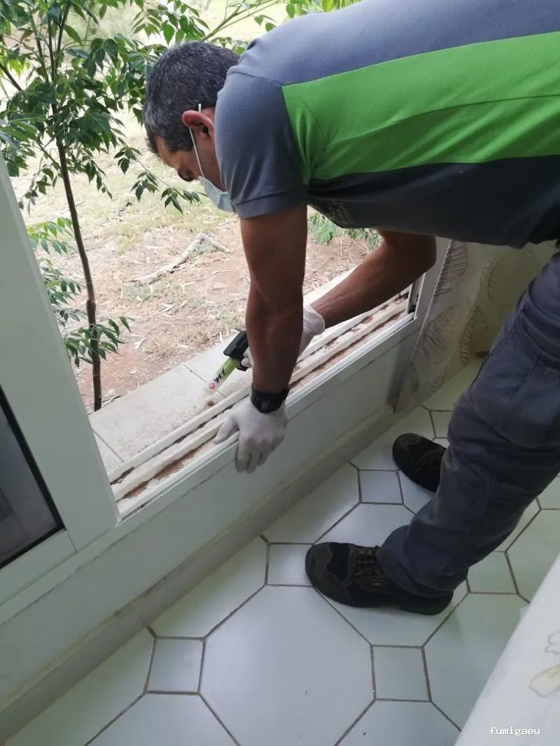 Control Plus Canarias