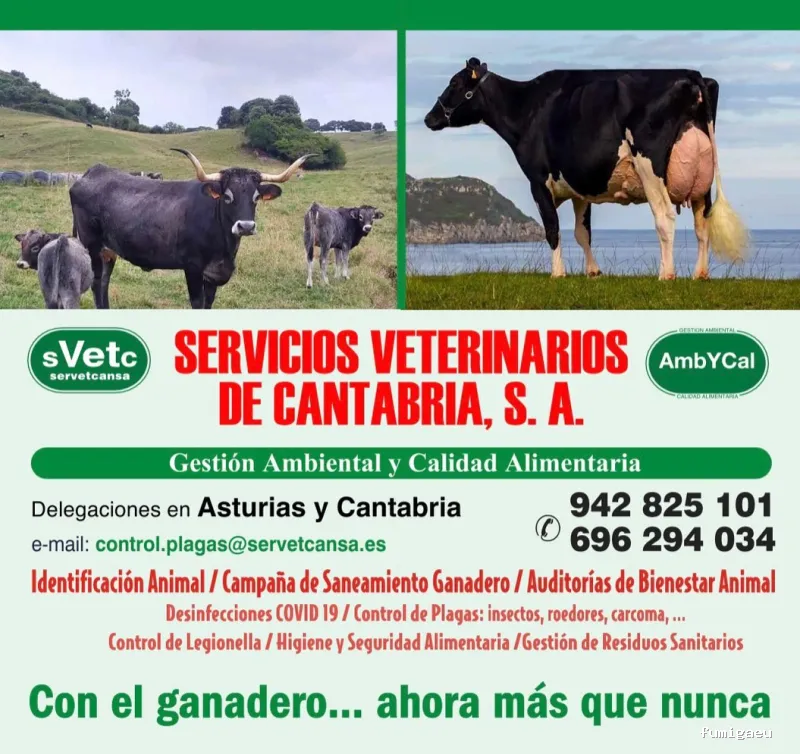 Servicios Veterinarios de Cantabria